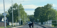 Медведь прогулялся возле ФАПа и детской школы искусств в сахалинском селе телеграм-канал &quotЗвезда Поронайска&quot - SakhalinMedia.Ru