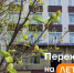 Северо-Восточный государственный университет с 1 июля переходит на летний график работы - СВГУ