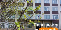 Северо-Восточный государственный университет с 1 июля переходит на летний график работы - СВГУ