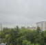Фото Елены Ковалевой - Tumentoday.Ru