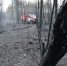 Лесной пожар локализовали на площади 706 гектаров в Каларском округе - Забайкальский рабочий