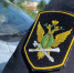 Арестованные автомобили и недвижимость выставили на торги в Карелии - StolicaOnego.Ru