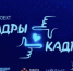 В Ленобласти стартовал профориентационный проект «Кадры в кадре» - ЛенТВ24