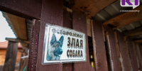 Сыктывдинский суд взыскал с владельца овчарки 20 тыс. рублей за укус ребенка - ИА Комиинформ