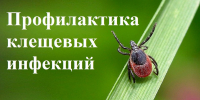 Об эпидемиологической ситуации по инфекциям, передающимся с укусами клещей. Меры профилактики. - Администрация Ахтубинского района