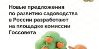 фото с группы в ВК Правительства региона - НИА-Кавказ - Ставрополь