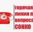 «Горячую линию», посвященную поддержке СОНКО, проведёт администрация Комсомольска - Администрация г.Комсомольска-на-Амуре