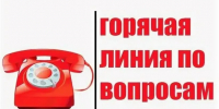 «Горячую линию», посвященную поддержке СОНКО, проведёт администрация Комсомольска - Администрация г.Комсомольска-на-Амуре