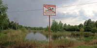 В Омске проходят рейды по безопасности на воде. - Администрация города