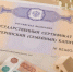 Материнский капитал в обмен на воздух: как риелтор и глава кредитного кооператива из Оренбурга обманули Пенсионный фонд - ProOren.Ru