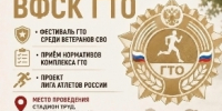 В Тольятти состоится фестиваль ГТО для ветеранов боевых действий и членов их семей - TltGorod.Ru