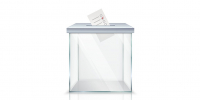 Фото: https://www.magnific.com/free-vector/realistic-empty-transparent-ballot-box-with-marked-ballot-hole_3789818 - Алтайская правда