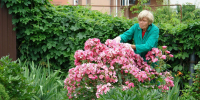 01 bryansk reproduk - ГТРК