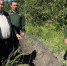 Фото: https://minleshoz.pnzreg.ru - Penza-Post.Ru