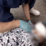 Экстренные службы сообща оказали помощь пострадавшей в ДТП жительнице Новомосковска - ИА Новомосковск Сегодня