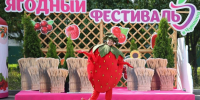 Специалист по ягодоводству из Сербии Зоран Радованович представит свой опыт на Ягодном фестивале Чувашии - Чувашский ГАУ