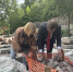 Стало известно, какая судьба ждет малиновый кварцит на набережной Петрозаводска - Gubdaily.Ru