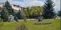 фото: стоп-кадр видео с канала в МАХ администрации Магаса - НИА-Кавказ - Ингушетия