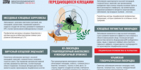 Мониторинг за клещевыми инфекциями на 29.06.2026г. - Бабушкинский муниципальный округ