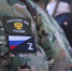 Вопросы соцподдержки станут темой единого дня приема участников СВО в Волгоградской области - Областная Дума