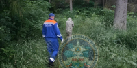 В районе поселка Чаща спасатели нашли и вывели из леса пропавшего мужчину - Online47.Ru