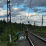 В Мурманске спасают двух лебедят-сирот - ИА Nord-News.Ru