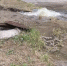 В Махачкале устранили последствия повреждения магистрального водопровода - Махачкалинские известия