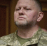 Залужный сообщил Зеленскому о своем желании участвовать в выборах президента - M24.Ru