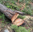 image - GazetaRB.Ru