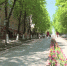 01 bryansk skver k maksa nash - ГТРК