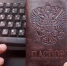День единого пособия пройдёт в 30 городах и районах Краснодарского края - Новая Газета Кубани