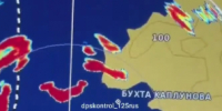 "Они уже везде": появление акул в пригороде Владивостока встревожило горожан - ГТРК Владивосток