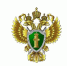 Военная прокуратура Южного военного округа проводит отбор на военную службу - Газета Таганрогская правда