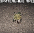 В Рыльском районе противник применил дистанционное минирование - Курские Известия