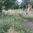 Волгодонцы пожаловались на заросшую травой детскую площадку в квартале В-8 - DonDay-Volgodonsk.Ru