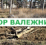ИНФОРМАЦИОННОЕ ПИСЬМО о правовом регулировании сбора валежника гражданами для собственных нужд - МО Светогорское городское поселение
