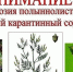 Амброзия полыннолистная — злейший враг здоровья человека - Нопокровское сельское поселение