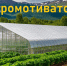 Министерство сельского хозяйства КБР сообщает о приеме              документов потенциальных участников конкурсного отбора получателей грантов «Агромотиватор» на 2027 год - Майский район