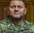 Валерий Залужный заявил о планах баллотироваться в президенты Украины - Говорит Москва