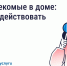 Борьба с насекомыми в многоквартирном доме. - Ужурский район