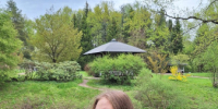 Talyzina_A - Инфокам