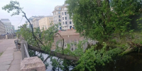 На Крюковом канале рухнувшее дерево повредило историческую чугунную ограду - Spbdnevnik.ru
