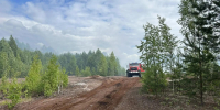 Лесные пожары в Костромской области: один ликвидирован, второй локализован - Северная правда