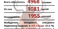 В Бугульминском районе Татарстана зарегистрировано 215 случаев укусов клещей - Бугульминская газета