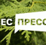 Стартовал прием заявок на IV Всероссийский конкурс для журналистов и блогеров «Лес-пресс». - Администрация г. Северодвинска