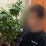Во Владимире задержан 17-летний подросток за обслуживание сим-боксов - Progorod33.Ru