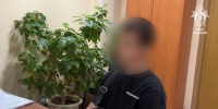 Во Владимире задержан 17-летний подросток за обслуживание сим-боксов - Progorod33.Ru