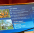 Проект «Работа рядом» в Мурманской области: 46 тысяч участников за 6,5 лет и новые возможности для занятости - Арктик-ТВ