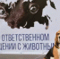 Об изменениях в законодательстве Республики Башкортостан в области обращения с животными - Город Агидель
