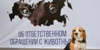 Об изменениях в законодательстве Республики Башкортостан в области обращения с животными - Город Агидель